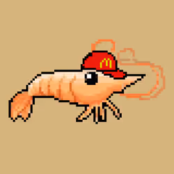 ORDINARY SHRIMP 7