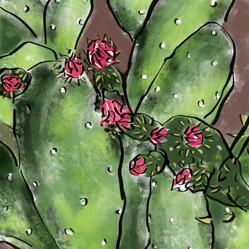 Plants By Macwells