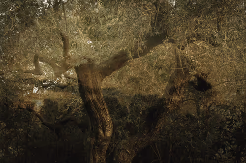 Item #1448819722811812157553440872911488319417736624981688873626406817767998095361 Media