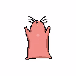 #107