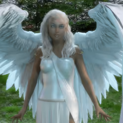 Angel Woods