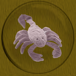 41776025324002017952572422073316458441069080831023694546850786712081640980481