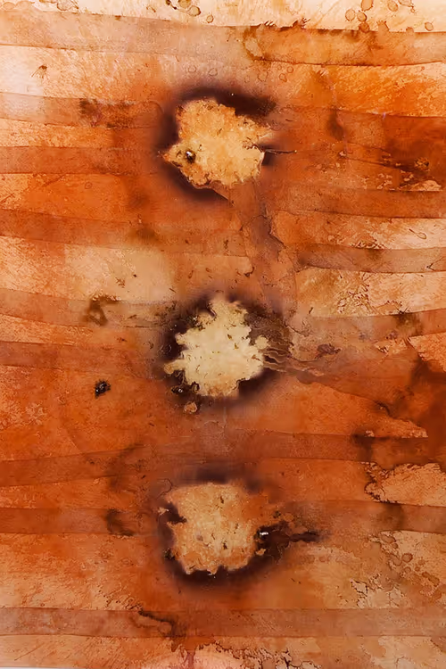 Item #111264774895172989553606282022194155892745764425417346937131400112452042489857 Media