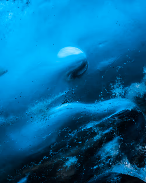 Item #92025450797269199699519638407999947828010124563072321716364901908946188500993 Media