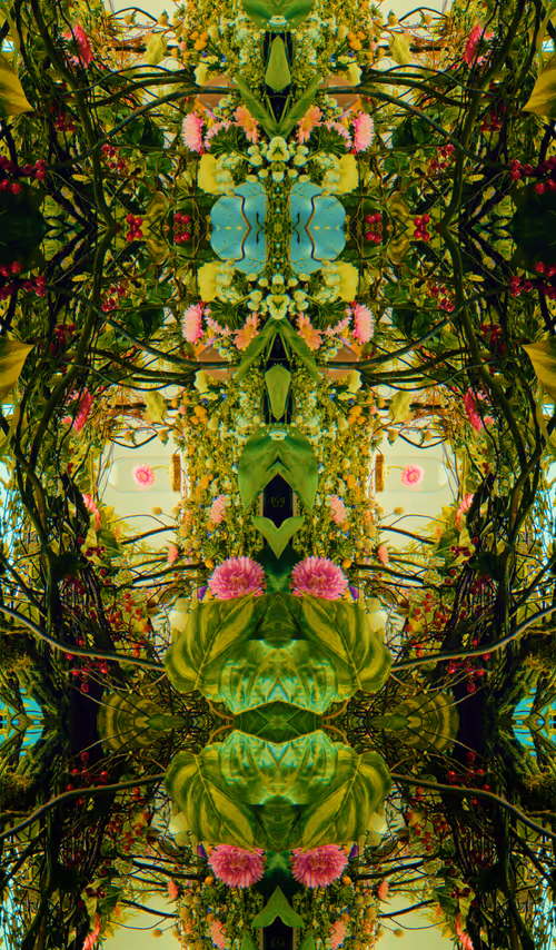 Item #54411499690937640101772425138653578544162397958311670010148906864279145152513 Media