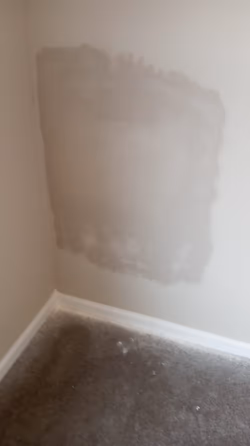 Item #56393828976664753989195772711370433981173769655102200769894207370769454858241 Media