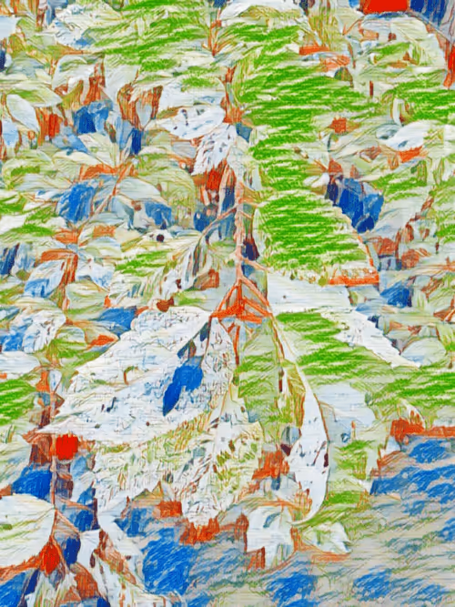 Item #69261177602478584146078213691104273677815526894191982293268527990383279341569 Media