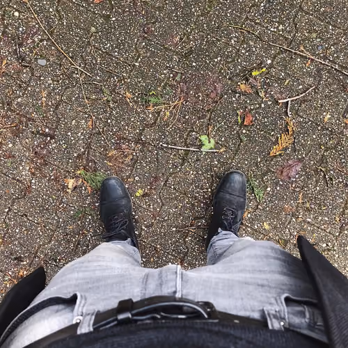 lookdown #65