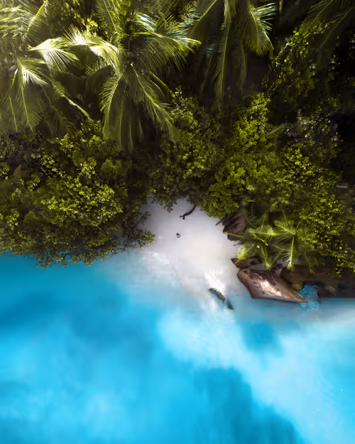 Item #114166721210055605781368580265511700861033361648236924870023126199704378933249 Media