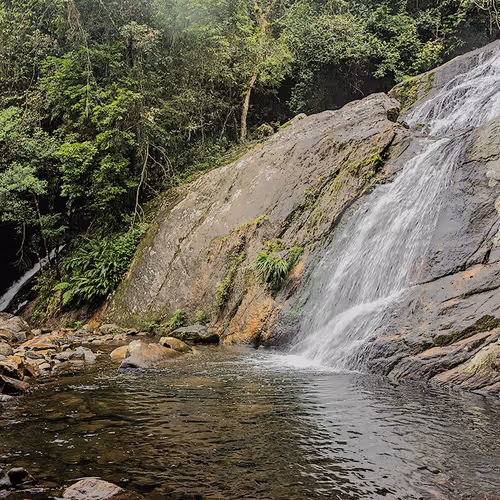 Leo_Barbsa Collection