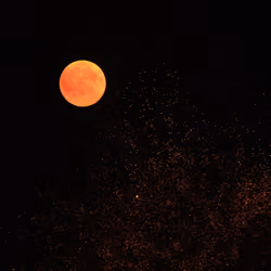 Moon with sprinkles