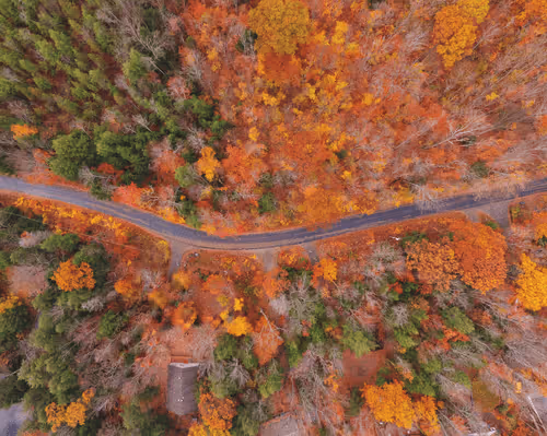 Fall Diaries CIhymdgfcp