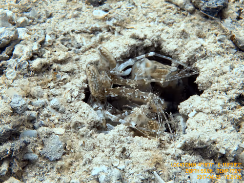 Item #80965803268169370603932631570667161375508893671094224909166964003967133024257 Media