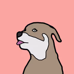 56899573993070087852143229916759048677636958233089565431557172571071898976257