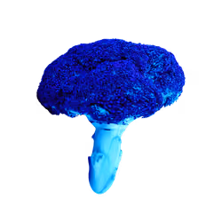 Arctic Broccoli #010 