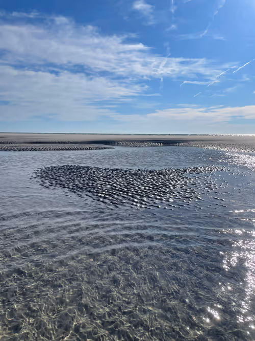 Item #32571145223999108619907506481918229104755596695670679748878686147587568828417 Media