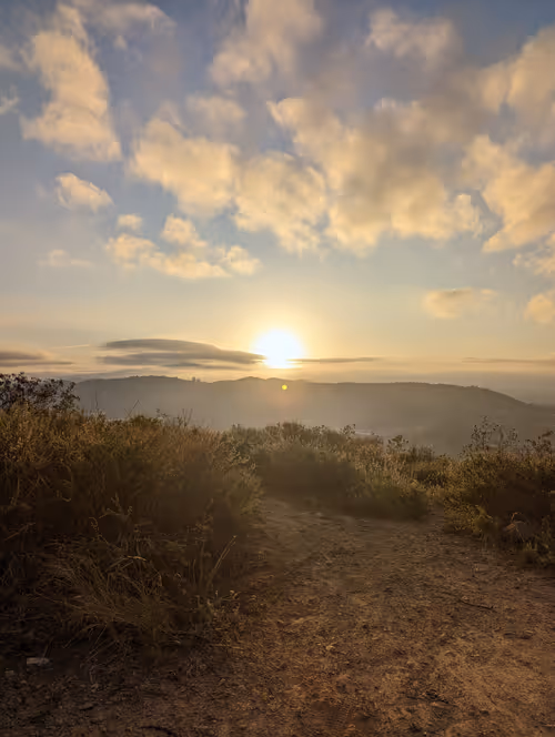 Item #6961212754885440453693216670112546269014553959723379112842096747375541354497 Media