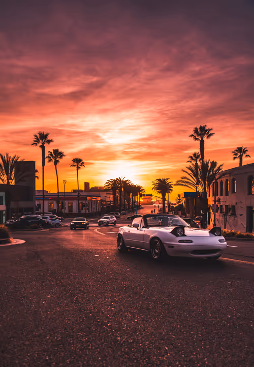 Item #91501497008151221125596935841676000512183505427004855270702190516980057899009 Media