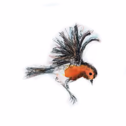 Flying robin