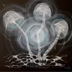 «Mushrooms» 