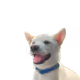 34676427965152218707356421633153204859761085480205500074624521528495961014273