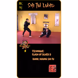 46812503073849428639084932571269419557595880976783390124449439633808956588033