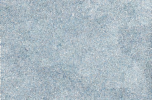 Item #56231055166534768819260761756004250554455450585187543117911899974913417543681 Media