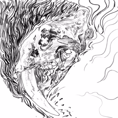 Pak Skull