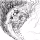 Pak Skull