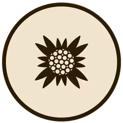 43146523161913970775654449509921564474344972767913577800200540955531072765953