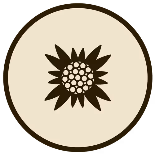 Item #43146523161913970775654449509921564474344972767913577800200540955531072765953 Media