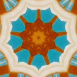 Kaleidoscope Plants 018