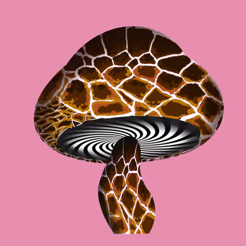 Item #46034849265832991985054005845495595569977159826723230396281256686068399341569 Media