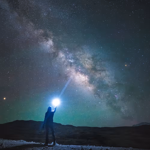 The Starry Nights