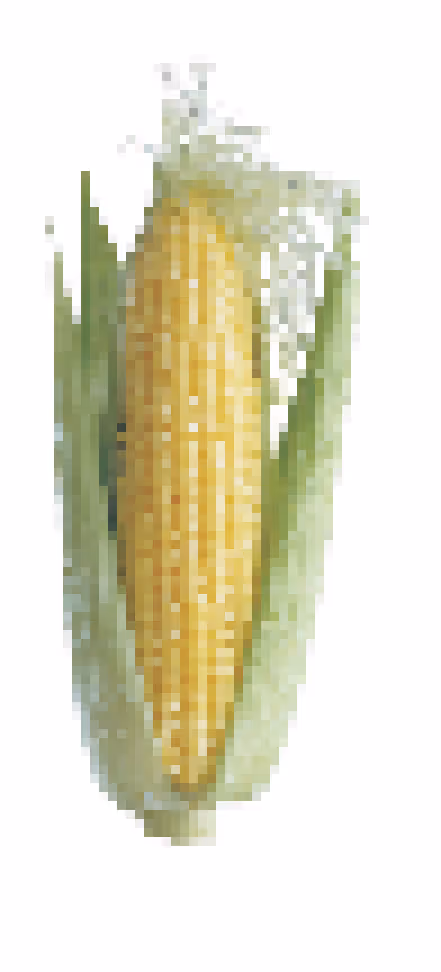 Item #25350083611604470530281593362228819369712463321341820751446109995629855899649 Media