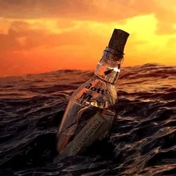 Secret Message in a Bottle #8901