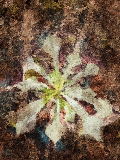 Item #69261177602478584146078213691104273677815526894191982293268528006875953758209 Media