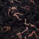 54498339750312629147900213793127286863305084837877265024526474343556195549185