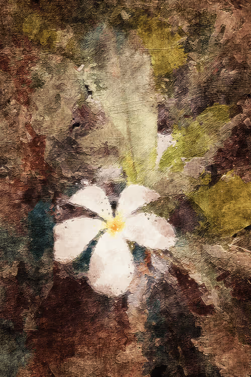 Item #69261177602478584146078213691104273677815526894191982293268527850745302614017 Media