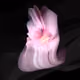 53207945225788561204495425264079172149903414013039238800967543106889828007937