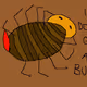 Anarchist Animals