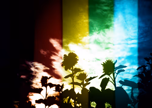 Item #42626720449793049245731240582970290857527864811431423741856946920384110788609 Media