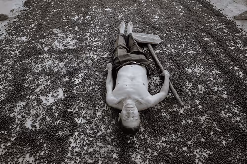 Item #63564870946985135886813841758928260740997425231874414062231035176073608298497 Media