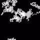 46443140435526123263349023868976142915031731050544552291035459361618891112449