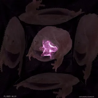 Item #42093998515485986920615949711546891597840209528691247613894649649558261334017 Media