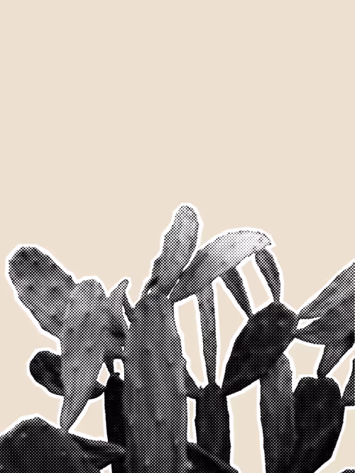 Item #25379124807980713745219244606437574046087384809022650852355167122516028162049 Media