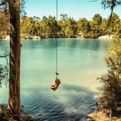 Hanging in there 1/1