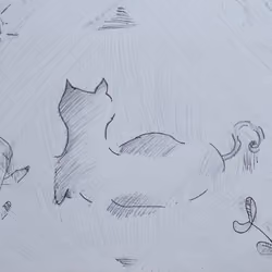 Cat 3.0