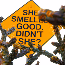 72956552371939263149680114795764900729888036276229086091707581203212073435137