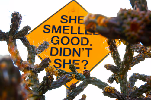 Item #72956552371939263149680114795764900729888036276229086091707581203212073435137 Media